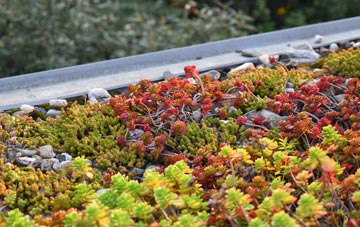 the cost of Wardhill green roof installation