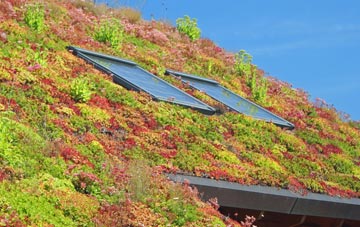 Wardhill living roof systems