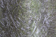 Wardhill fibreglass roof work